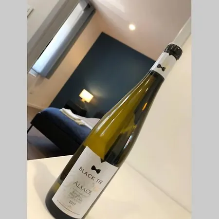Apartment S'capades 2 - Wifi Netflix Mulhouse